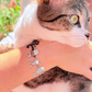 Pulsera gato estrellado negro